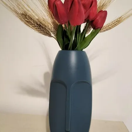 Apartment Incentro